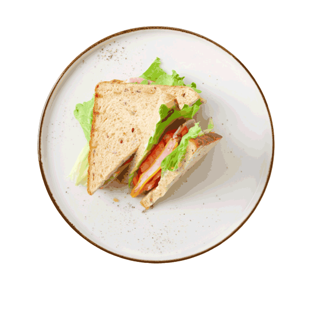 Veg Sandwich Plain/Grilled